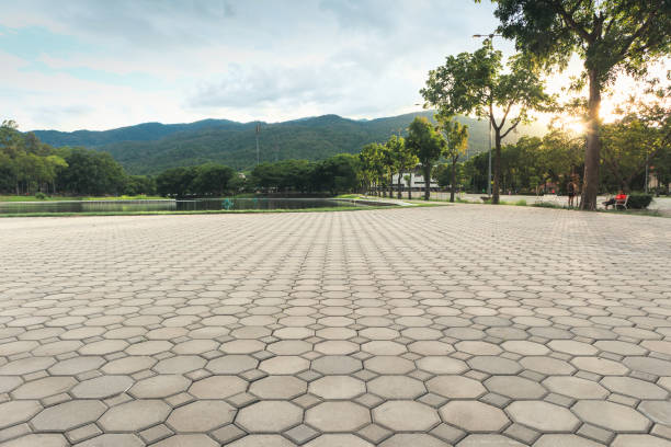 Best Professional Driveway Pavers  in Woxall, PA